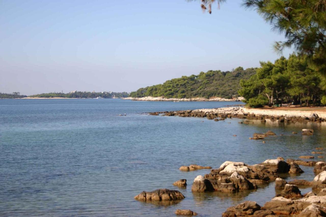 Apartament In Rovinj/istrien 11802 *